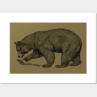 Mountain Bear Black Line Illustration Posters and Art